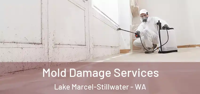  Mold Damage Services Lake Marcel-Stillwater - WA