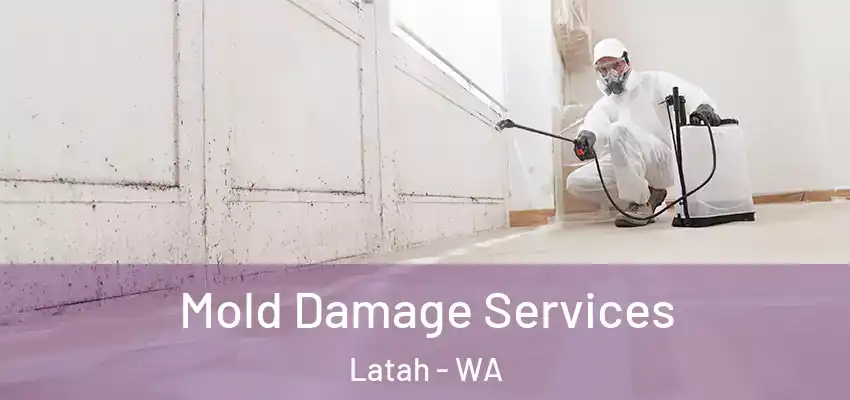  Mold Damage Services Latah - WA