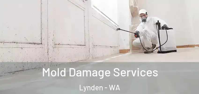  Mold Damage Services Lynden - WA
