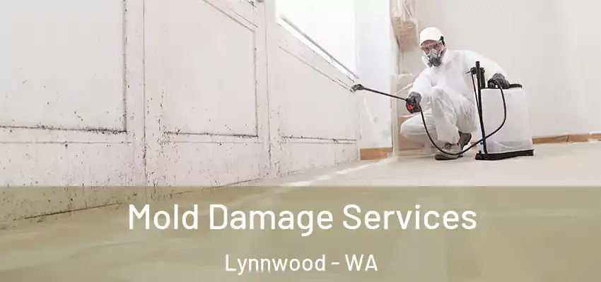  Mold Damage Services Lynnwood - WA