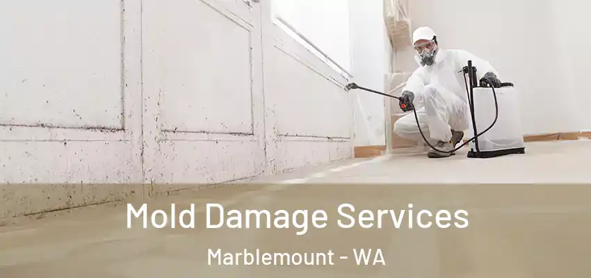  Mold Damage Services Marblemount - WA