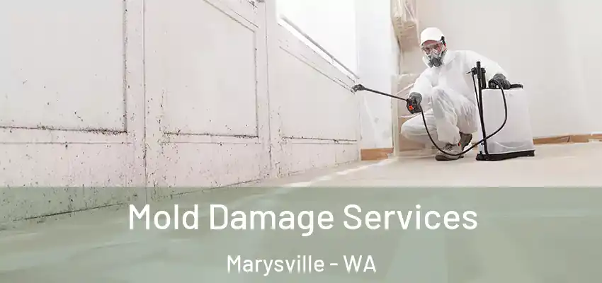  Mold Damage Services Marysville - WA