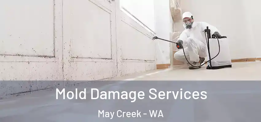 Mold Damage Services May Creek - WA
