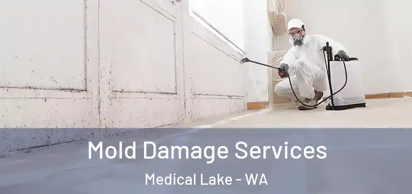  Mold Damage Services Medical Lake - WA