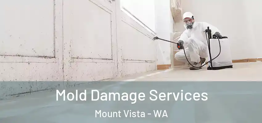  Mold Damage Services Mount Vista - WA
