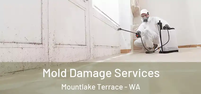  Mold Damage Services Mountlake Terrace - WA