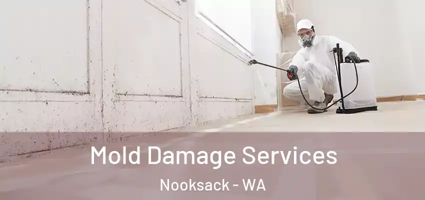  Mold Damage Services Nooksack - WA