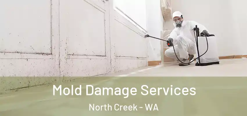  Mold Damage Services North Creek - WA