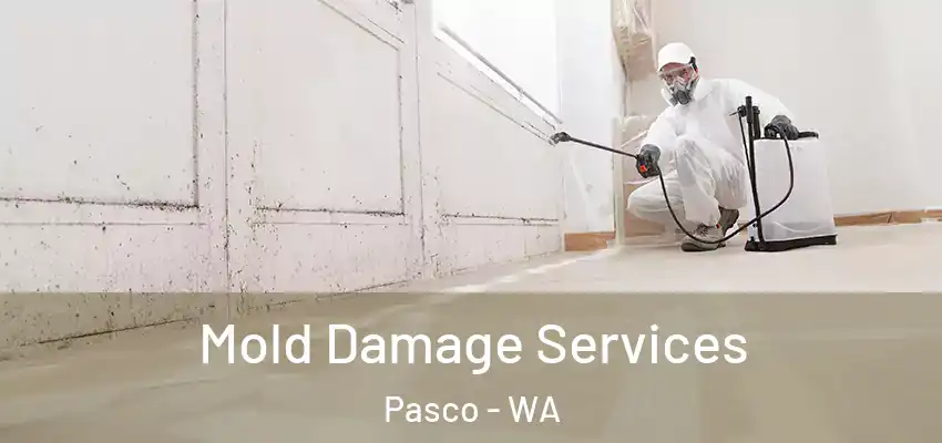  Mold Damage Services Pasco - WA