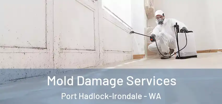  Mold Damage Services Port Hadlock-Irondale - WA
