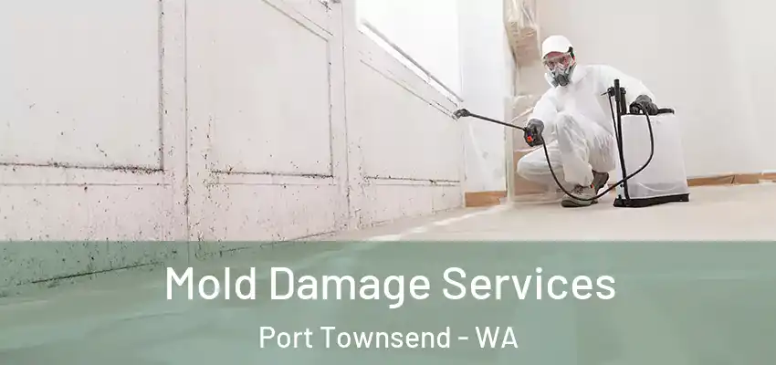  Mold Damage Services Port Townsend - WA