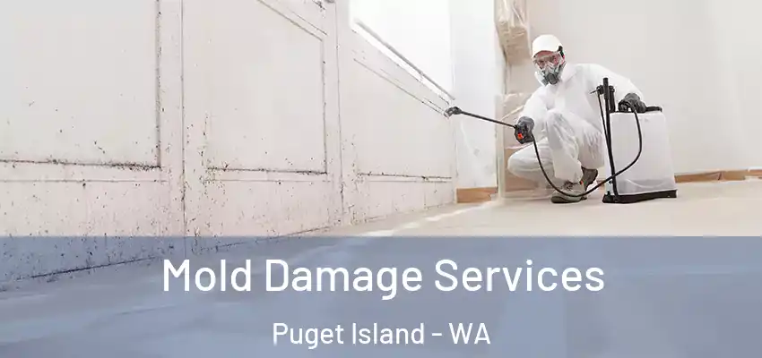  Mold Damage Services Puget Island - WA