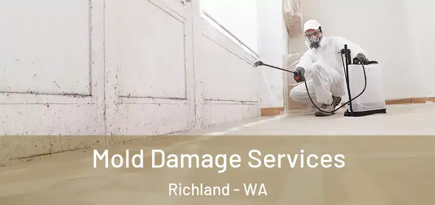  Mold Damage Services Richland - WA