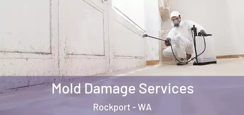  Mold Damage Services Rockport - WA