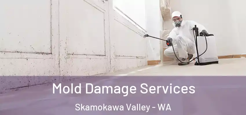  Mold Damage Services Skamokawa Valley - WA
