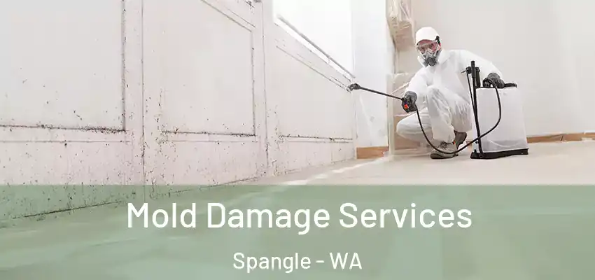  Mold Damage Services Spangle - WA
