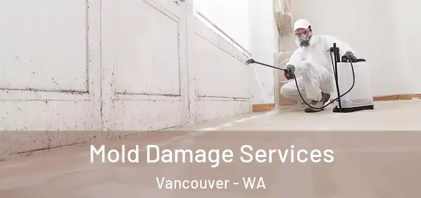  Mold Damage Services Vancouver - WA