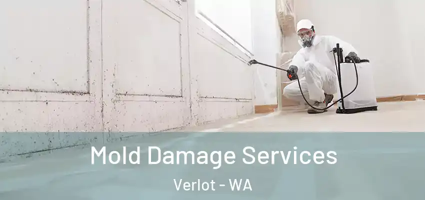 Mold Damage Services Verlot - WA