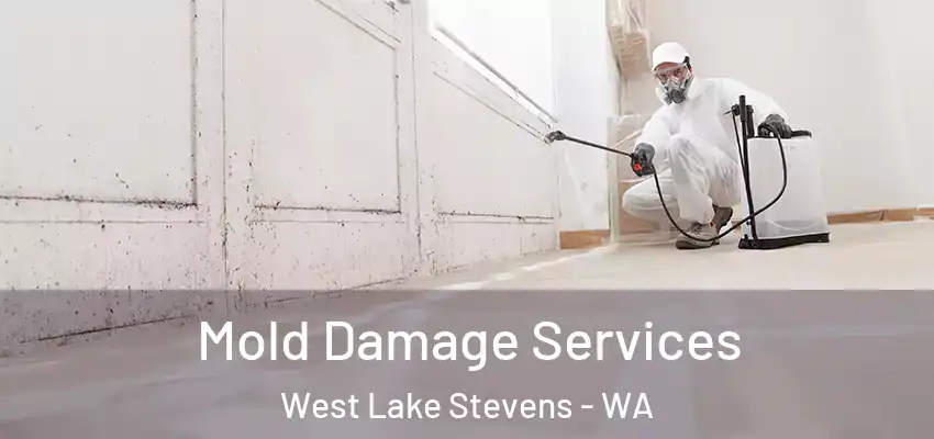  Mold Damage Services West Lake Stevens - WA