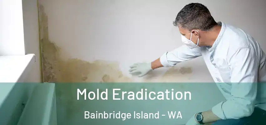  Mold Eradication Bainbridge Island - WA