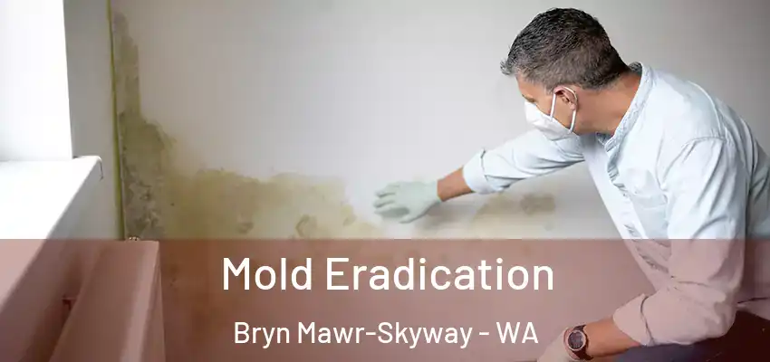 Mold Eradication Bryn Mawr-Skyway - WA