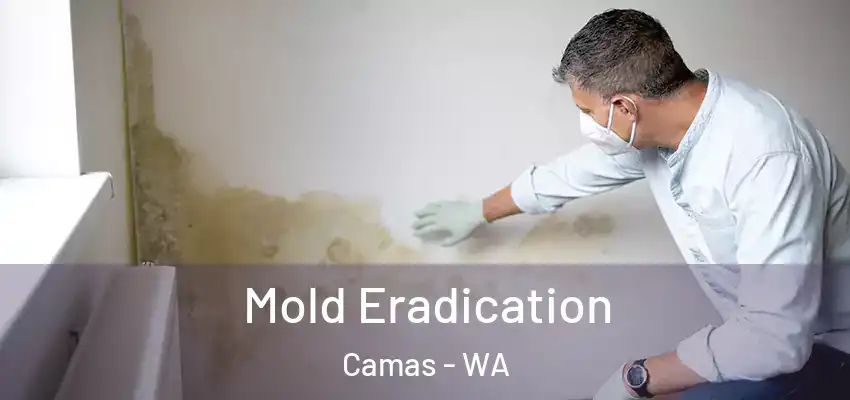  Mold Eradication Camas - WA