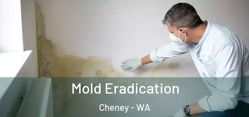  Mold Eradication Cheney - WA
