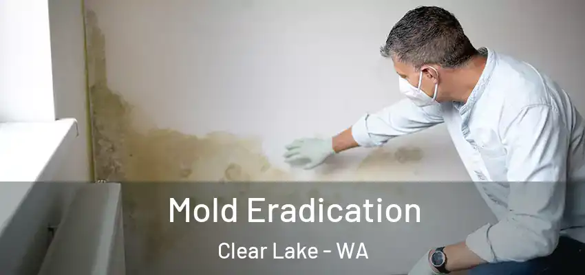  Mold Eradication Clear Lake - WA