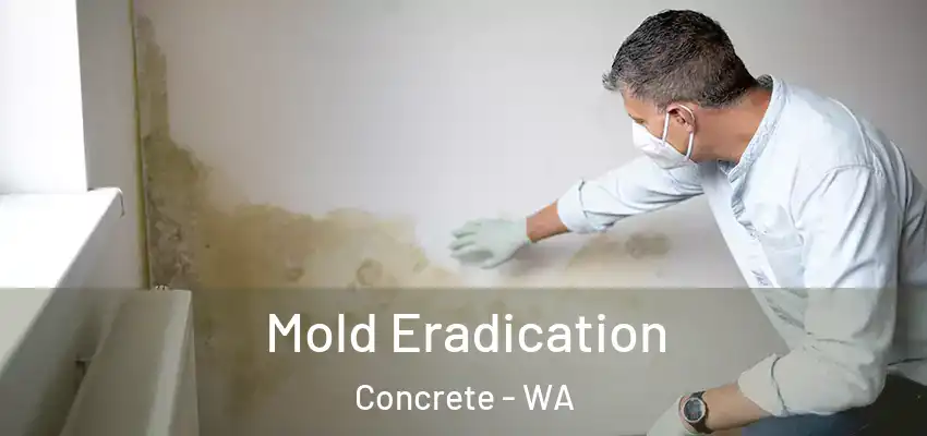 Mold Eradication Concrete - WA