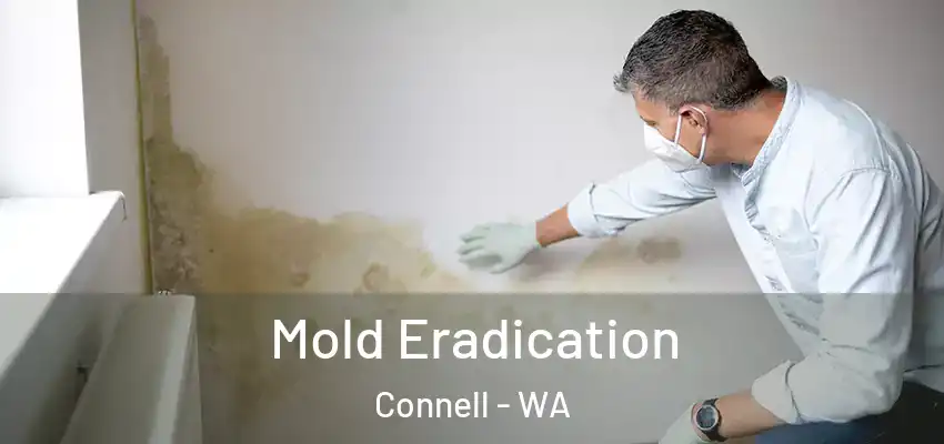 Mold Eradication Connell - WA