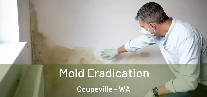  Mold Eradication Coupeville - WA