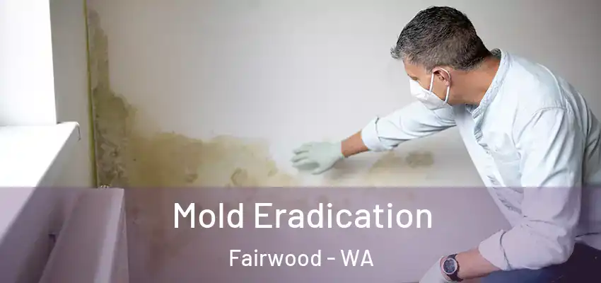  Mold Eradication Fairwood - WA