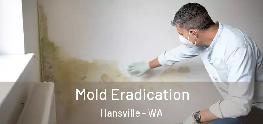  Mold Eradication Hansville - WA