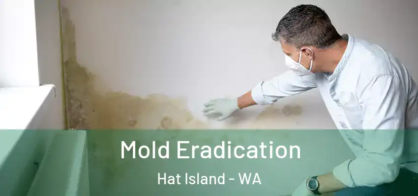  Mold Eradication Hat Island - WA