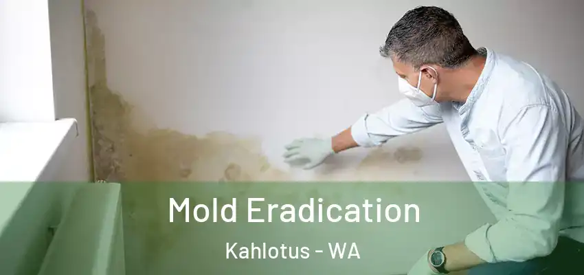  Mold Eradication Kahlotus - WA