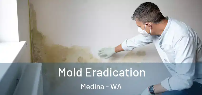  Mold Eradication Medina - WA