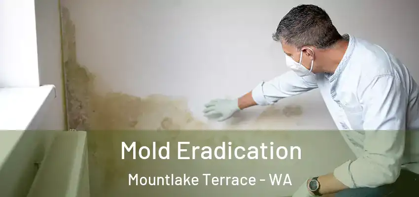 Mold Eradication Mountlake Terrace - WA