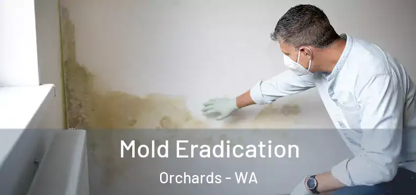  Mold Eradication Orchards - WA