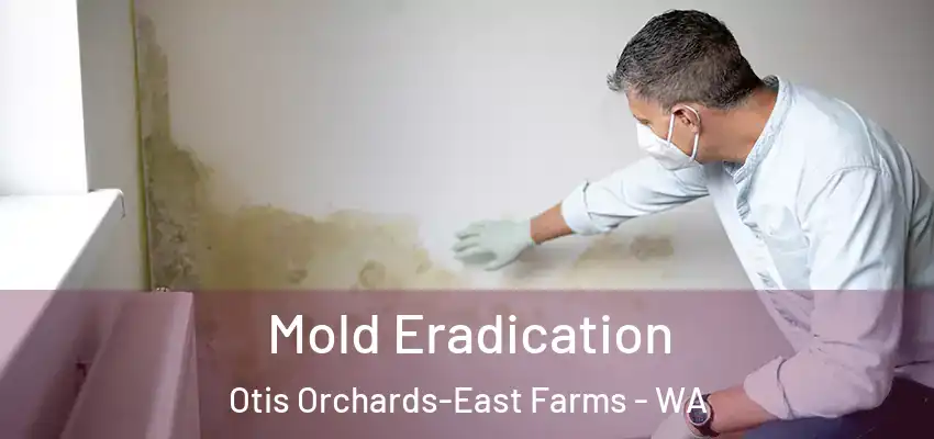  Mold Eradication Otis Orchards-East Farms - WA