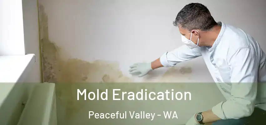 Mold Eradication Peaceful Valley - WA
