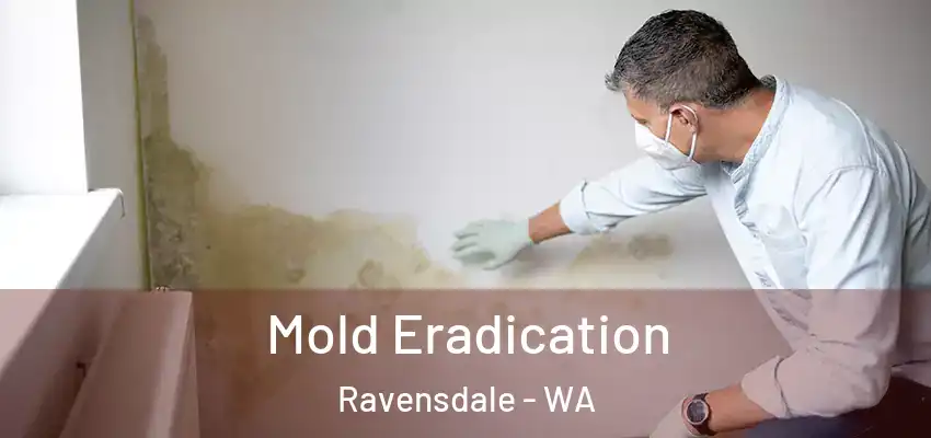  Mold Eradication Ravensdale - WA