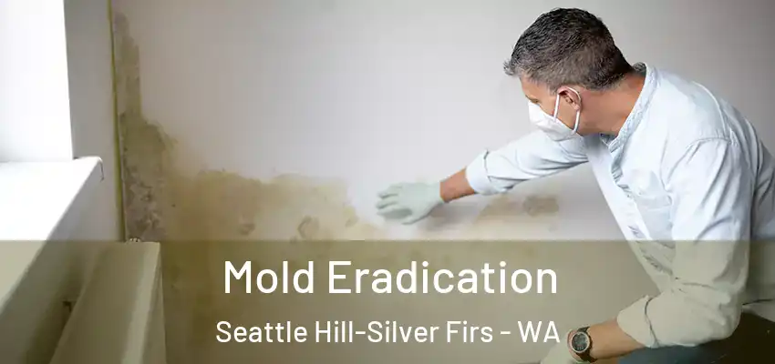 Mold Eradication Seattle Hill-Silver Firs - WA