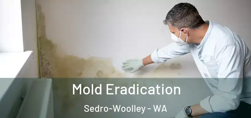  Mold Eradication Sedro-Woolley - WA