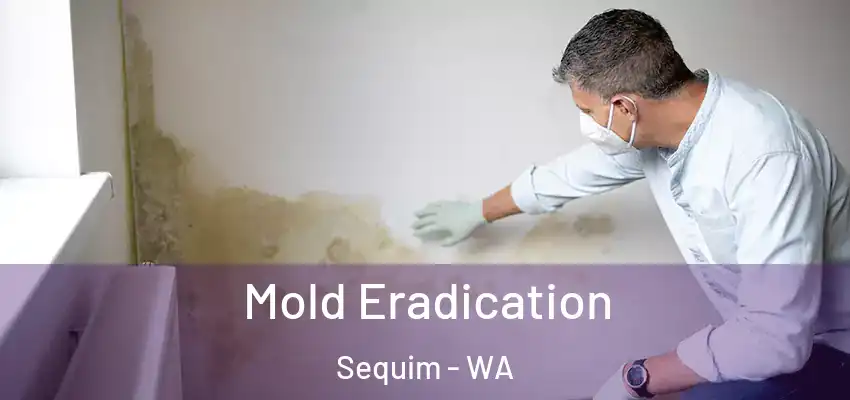  Mold Eradication Sequim - WA