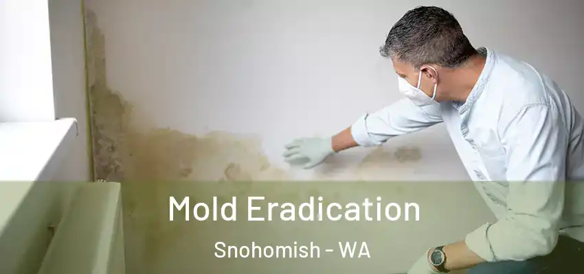  Mold Eradication Snohomish - WA