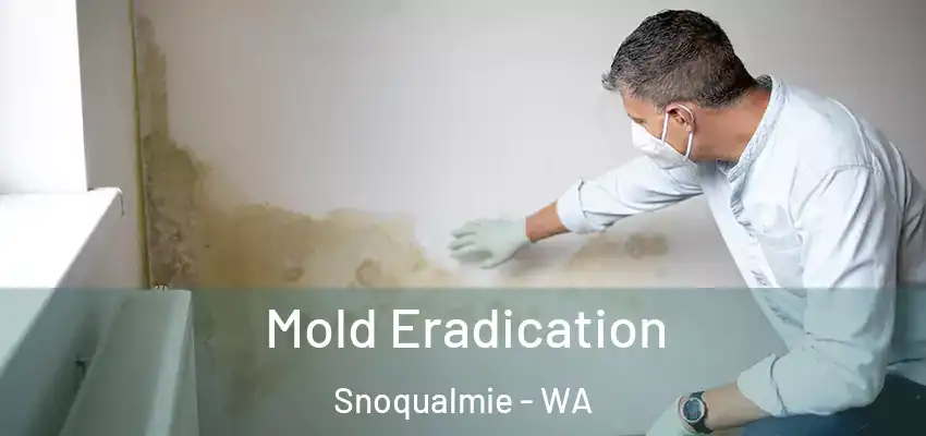  Mold Eradication Snoqualmie - WA