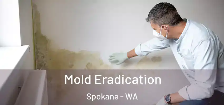  Mold Eradication Spokane - WA