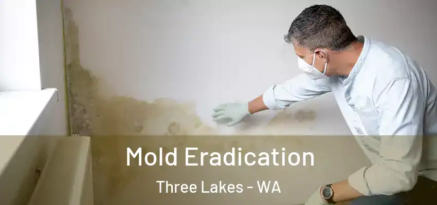  Mold Eradication Three Lakes - WA