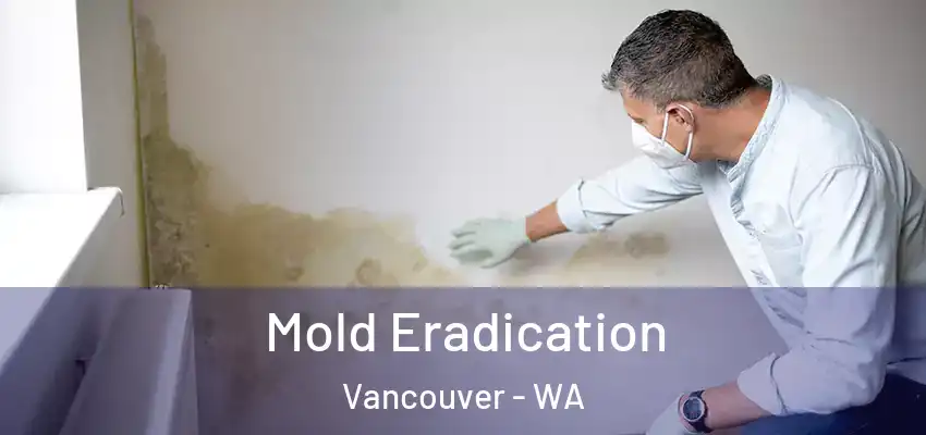  Mold Eradication Vancouver - WA