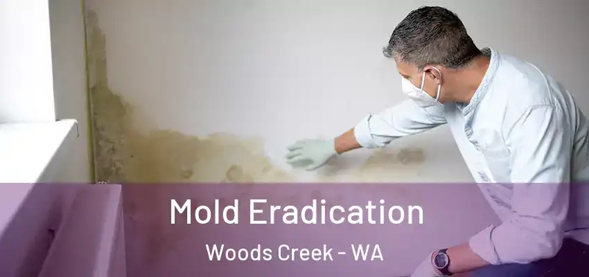  Mold Eradication Woods Creek - WA
